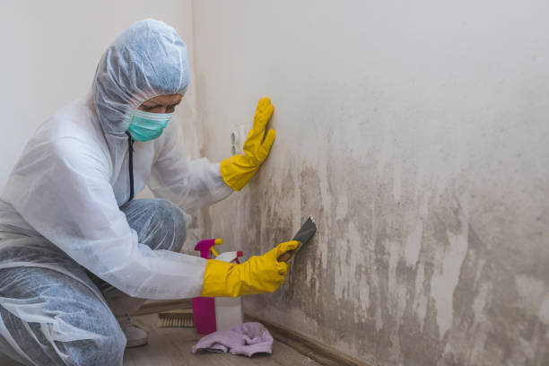 Best Bathroom Mold Remediation in Coto De Za, CA