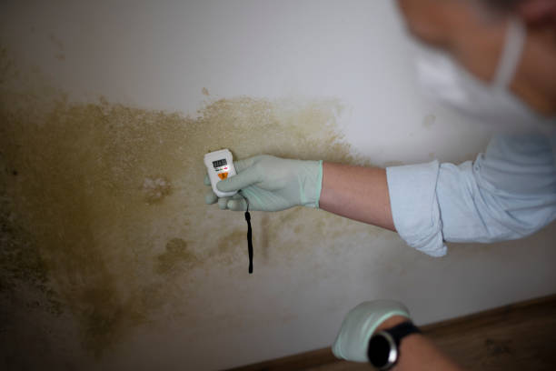 Best HVAC Mold Remediation in Coto De Za, CA