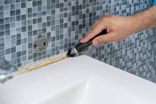 Best Black Mold Remediation in Coto De Za, CA