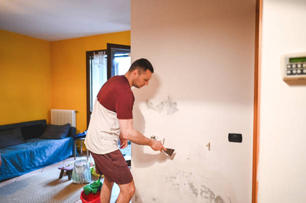 Best Localized Mold Remediation (e.g., coastal areas, humid climates) in Coto De Za, CA