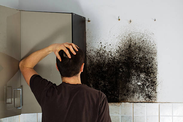 Best Industrial Mold Remediation in Coto De Za, CA
